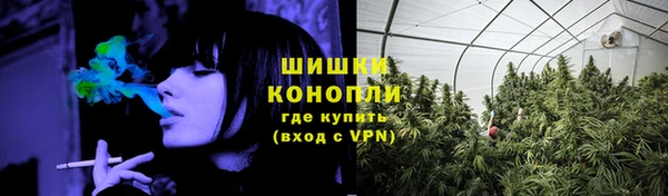 СК Горняк