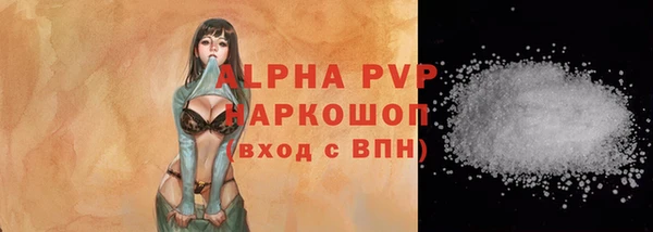 СК Горняк