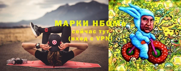СК Горняк