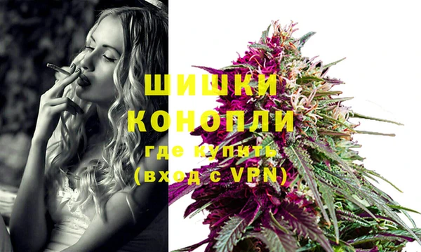 ГАЛЛЮЦИНОГЕННЫЕ ГРИБЫ Горнозаводск