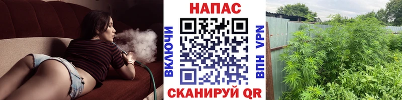 Каннабис AK-47  Купить  Асино 